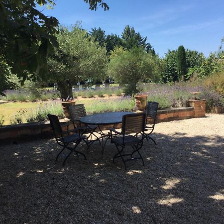 Typical Provencal Farm House Close To L'Isle Sur La Sorgue - 12 Persons 卡瓦永 外观 照片
