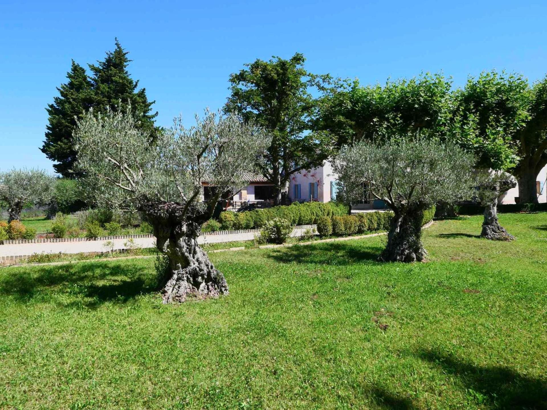 Typical Provencal Farm House Close To L'Isle Sur La Sorgue - 12 Persons 卡瓦永 外观 照片
