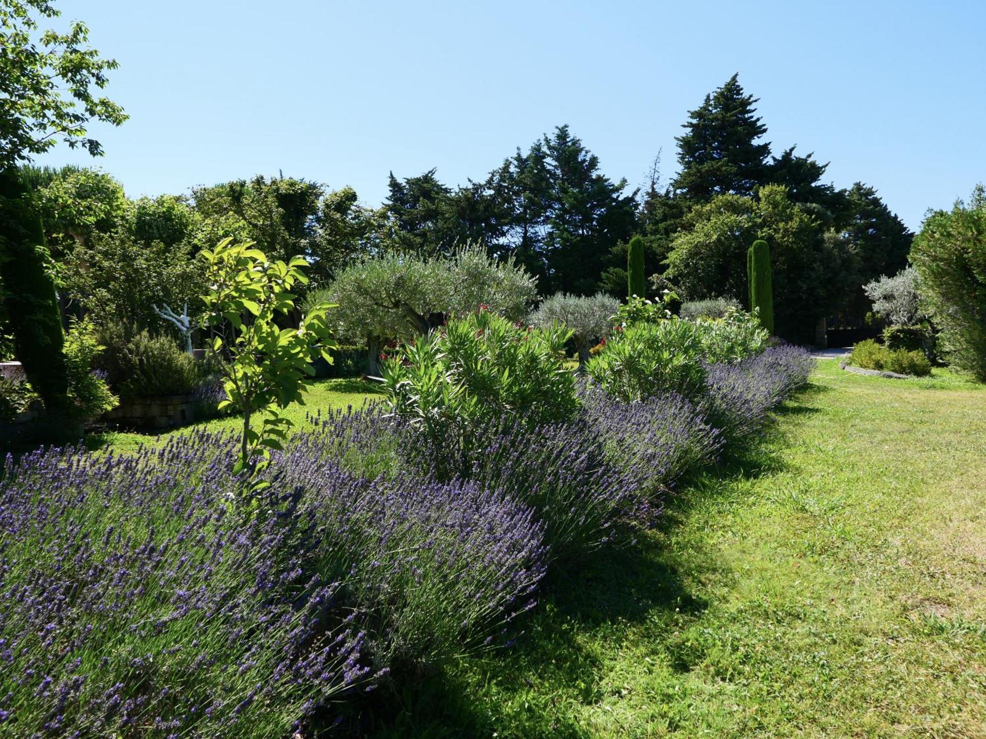 Typical Provencal Farm House Close To L'Isle Sur La Sorgue - 12 Persons 卡瓦永 外观 照片