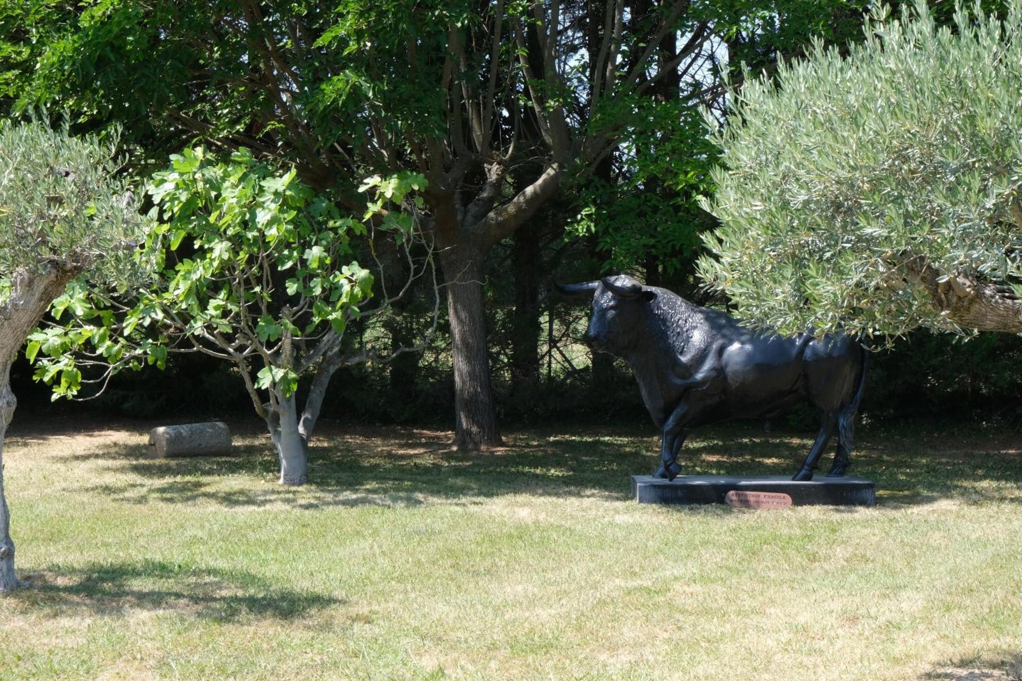 Typical Provencal Farm House Close To L'Isle Sur La Sorgue - 12 Persons 卡瓦永 外观 照片