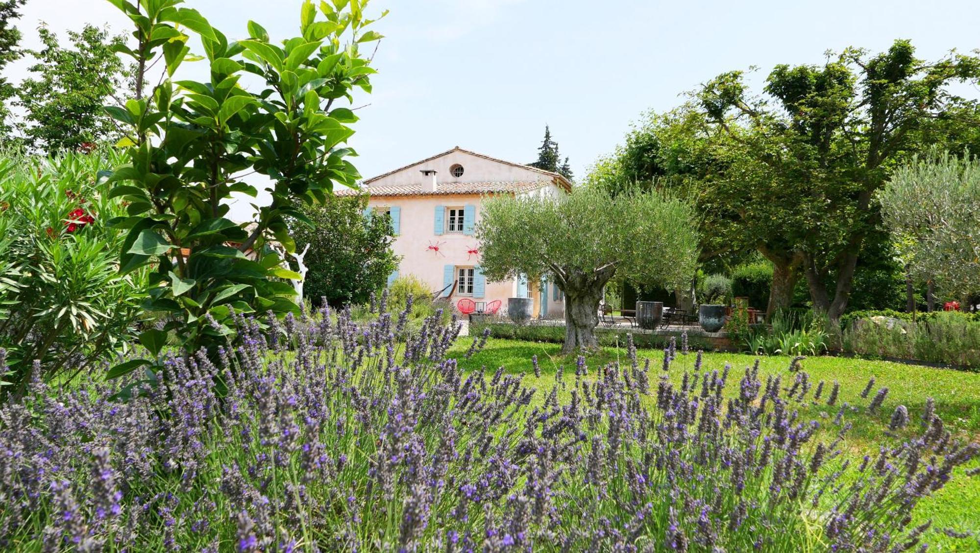 Typical Provencal Farm House Close To L'Isle Sur La Sorgue - 12 Persons 卡瓦永 外观 照片